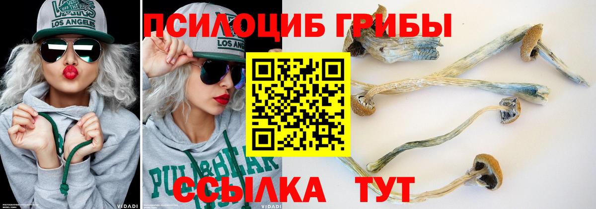 Галлюциногенные грибы мухоморы Нягань